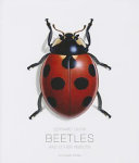 Beetles and other insects /