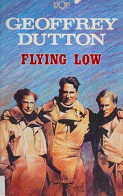 Flying low : a novel /