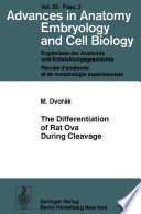 The Differentiation of Rat Ova During Cleavage /