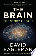 The brain : the story of you /