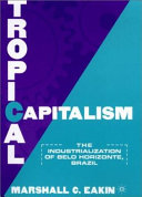 Tropical capitalism : the industrialization of Belo Horizonte, Brazil /