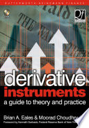 Derivative instruments : a guide to theory and practice /