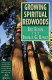 Growing spiritual redwoods /