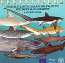 North Atlantic sharks relevant to fisheries management : a pocket guide /