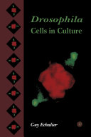 Drosophila cells in culture /