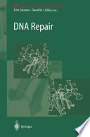 DNA Repair /