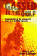 Gassed in the Gulf : the inside story of the Pentagon-CIA cover-up of Gulf War Syndrome /