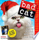 Bad cat /