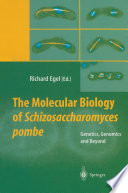 The Molecular Biology of Schizosaccharomyces pombe : Genetics, Genomics and Beyond /