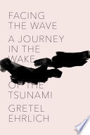 Facing the wave : a journey in the wake of the tsunami /