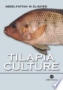 Tilapia culture /