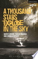 A thousand stars explode in the sky /