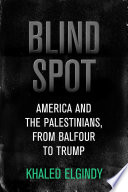 Blind spot : America and the Palestinians, from Balfour to Trump /