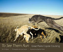 To see them run : Great Plains coyote coursing /