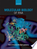 Molecular biology of RNA /