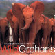 Wild orphans /