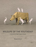 Wildlife of the Southeast : a collection of eight origami projects /