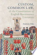 Custom, common law, and the constitution of English renaissance literature /