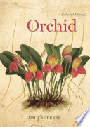 Orchid : a cultural history /
