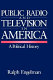 Public radio and television in America : a political history /