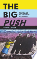 The big push : exposing and challenging the persistence of patriarchy /
