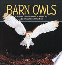 Barn owls /