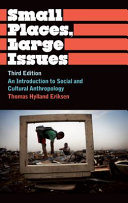 Small places, large issues : an introduction to social and cultural anthropology /