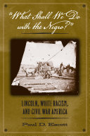 "What shall we do with the Negro?" : Lincoln, white racism, and Civil War America /