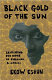 Black gold of the sun : searching for home in England and Africa /