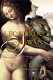 Leonardo's swans : a novel /