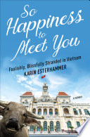 So happiness to meet you : foolishly, blissfully stranded in Vietnam /