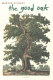 The good oak /