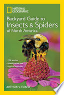 National Geographic backyard guide to insects & spiders of North America /