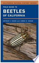 Field guide to beetles of California /