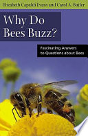 Why do bees buzz? : fascinating answers to questions about bees /
