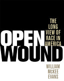 Open wound : the long view of race in America /