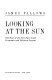 Looking at the sun : the rise of the new East Asian economic and political system /