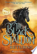 The black stallion returns /