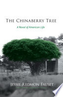 The chinaberry tree : a novel of American life /
