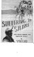 Suffering to silence : 29th Texas Cavalry, CSA, regimental history /
