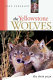 The Yellowstone wolves : the first year /