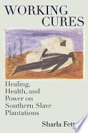 Working cures : healing, health, and power on southern slave plantations /