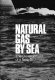 Natural gas by sea : the development of a new technology /