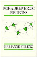 Noradrenergic neurons /