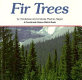 Fir trees /