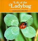Life of the ladybug /