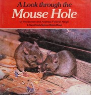 A look through the mouse hole /