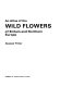 An atlas of the wild flowers of Britain and northern Europe /