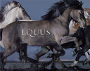 Equus /