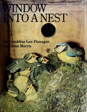 Window into a nest /